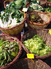 Inocuidad Alimentaria