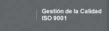 Gesti�n de la Calidad ISO 9001:2000