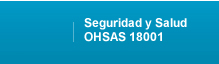 Seguridad y Salud 18001:1999